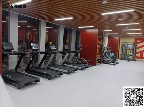 谈球吧完成的济南某部门单位健身房