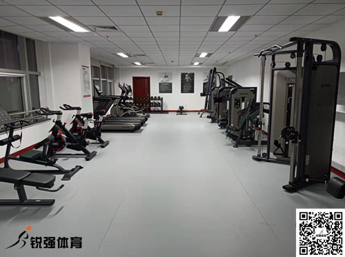 济南某集团采购的谈球吧提供的健身器材