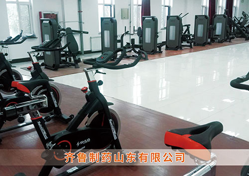 ​谈球吧为齐鲁制药呼和浩特分公司打造健身房